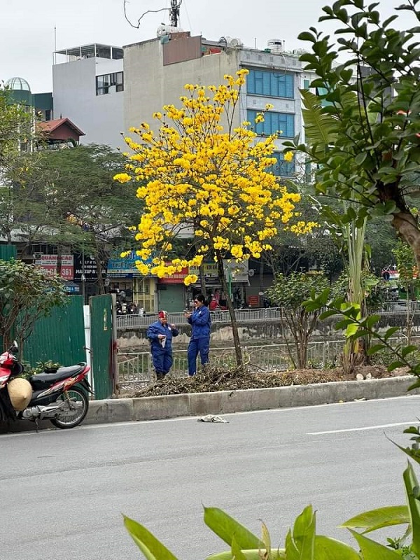 Nét đẹp quanh ta!
