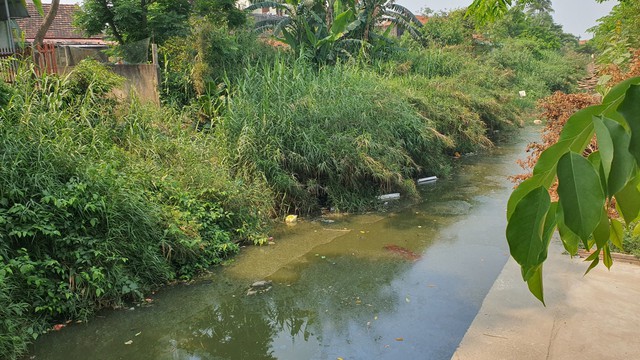 Dân khốn khổ vì sống trong cảnh ô nhiễm, nước sông bốc mùi hôi thối, nồng nặc cả ngày lẫn đêm