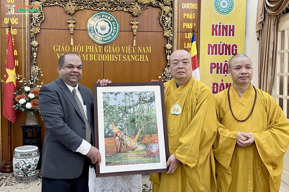 Phóng sự ảnh Mừng Đại lễ Phật đản năm 2023 tại chùa Quán Sứ, Hà Nội