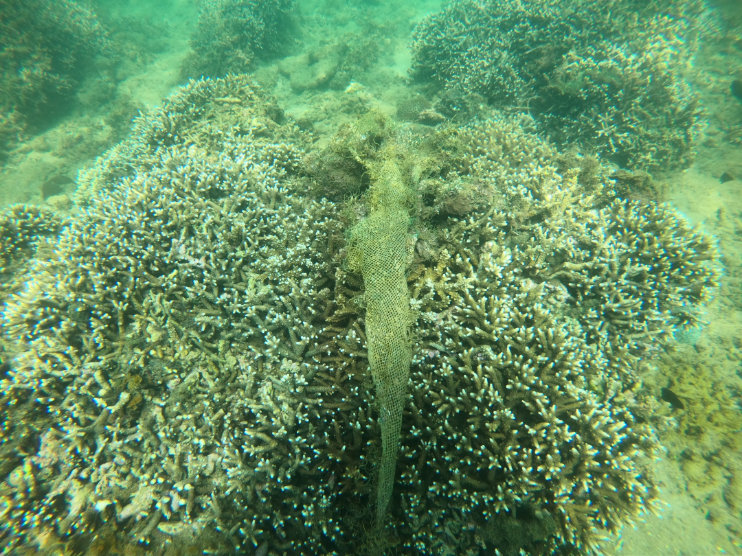 Khu vực cửa xả Hòn Một: Tái diễn tình trạng nước thải bẩn chảy ra biển