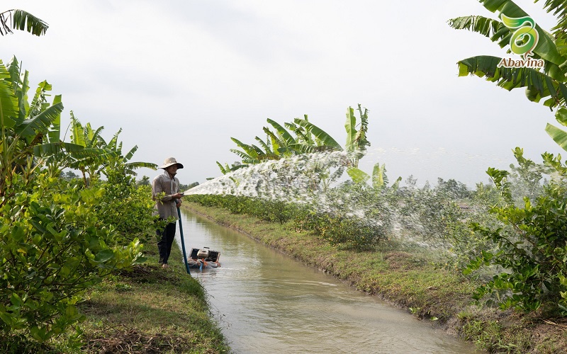 “Thuận thiên” để phát triển xanh bền vững