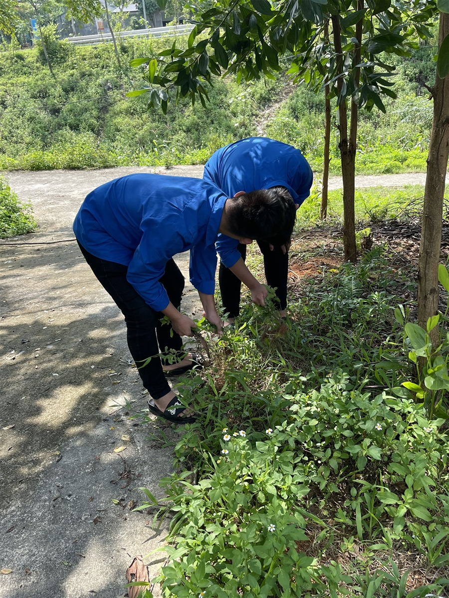 Tân Sơn (Phú Thọ): Tuổi trẻ xã Tân Phú ra quân Chủ nhật Xanh, hưởng ứng chiến dịch “làm cho thế giới sạch hơn”.