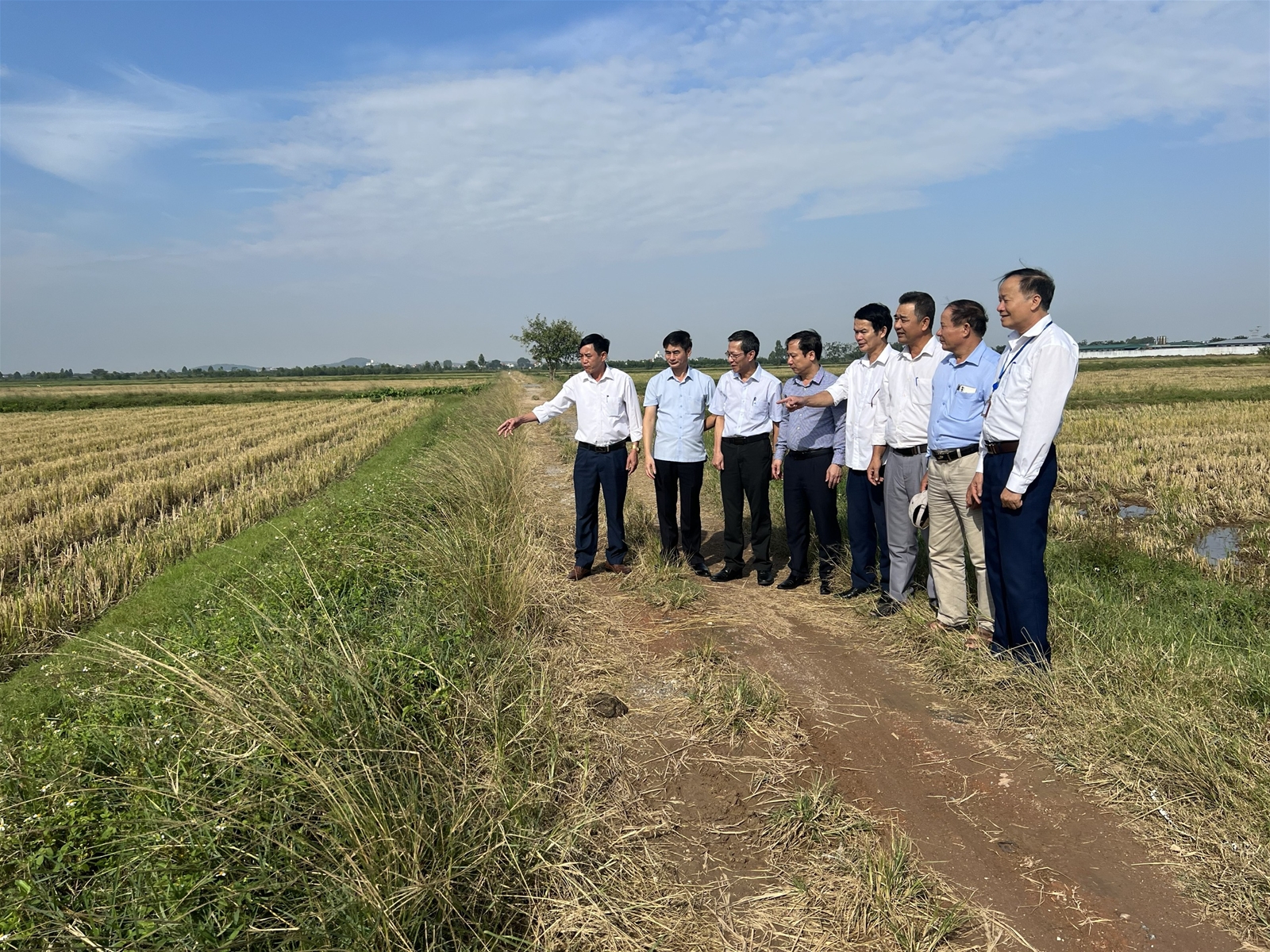 Xây dựng mô hình điểm “Thu gom bao gói thuốc bảo vệ thực vật sau sử dụng, xử lý phế phụ phẩm nông nghiệp”