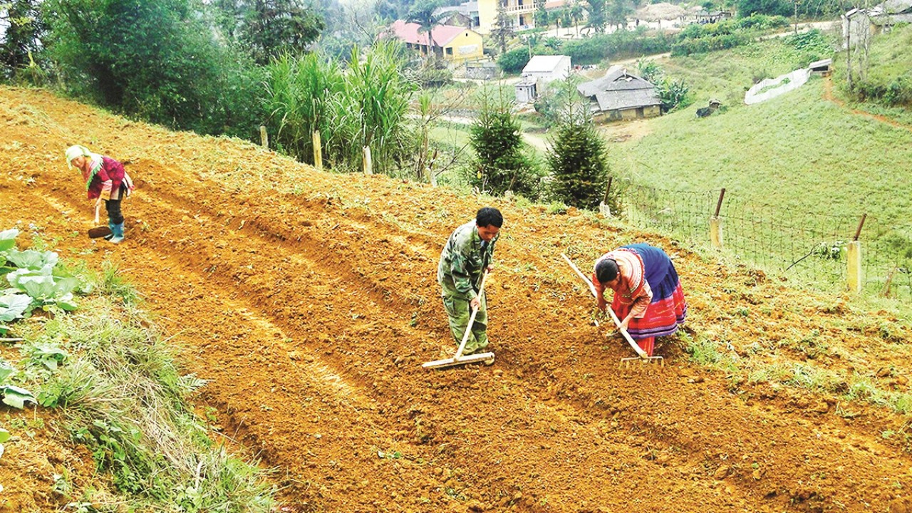Một số điểm mới của Luật Đất đai tác động đến người dân, doanh nghiệp và thị trường bất động sản