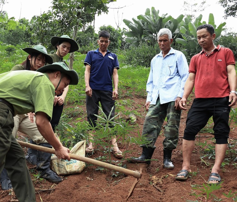 Doanh nghiệp Việt và chiến dịch cải tạo “sức khỏe” môi trường sống