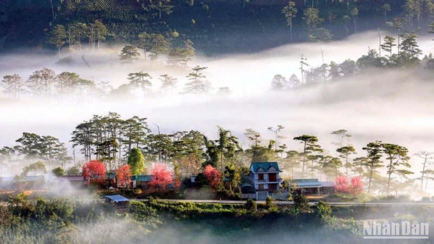Đà Lạt sẽ là đô thị xanh