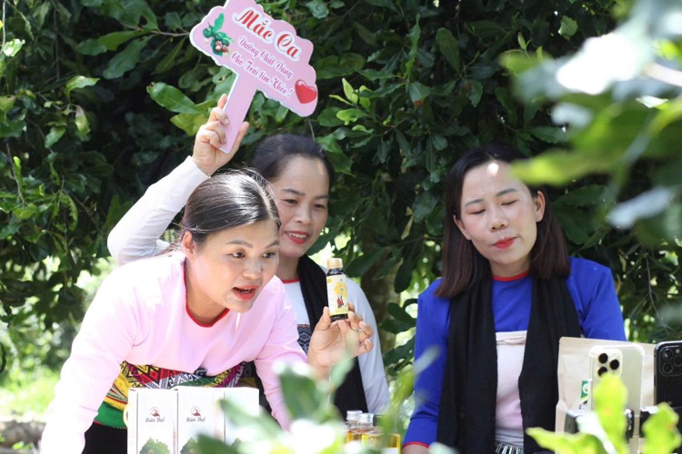 Kể chuyện nông sản xứ Thanh