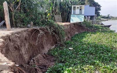 An Giang công bố tình huống khẩn cấp thiên tai sạt lở sông Hậu