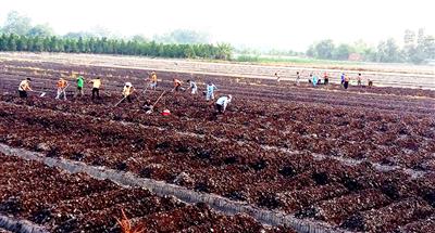 An Giang: Kết quả nổi bật của ngành tài nguyên và môi trường