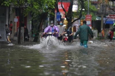 Ao hồ bị san lấp, nước thoát đi đâu?