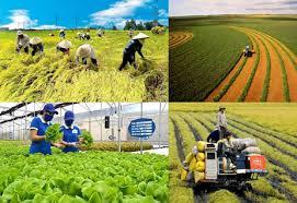 Áp dụng khung phân tích Resolve trong bước đầu đánh giá triển khai kinh tế tuần hoàn nông nghiệp ở ngành trồng nấm tại tỉnh Lâm Đồng