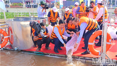 Ba tỉnh, thành phố vùng Tây Nam Bộ thả cá tái tạo nguồn lợi thủy sản