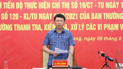 Bắc Giang: Khẩn trương rà soát, xử lý dứt điểm vi phạm về đất đai