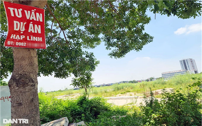 Bắc Ninh: Dự án chưa đủ điều kiện kinh doanh, "cò" đã bát nháo rao bán