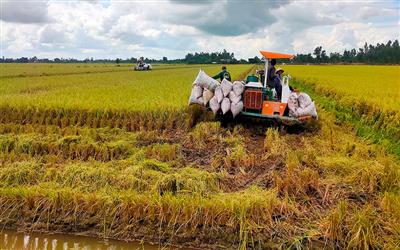 Bài 1: Tham vấn Đề án trồng trọt giảm phát thải: Gắn kết trung ương - địa phương - doanh nghiệp vì mục tiêu xanh