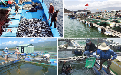 Bài 1. Viện Kinh tế và Quy hoạch Thủy sản: Khẳng định vai trò tiên phong trong phát triển bền vững ngành thủy sản