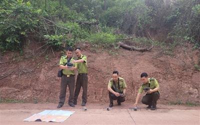Bài cuối: Từ nền móng vững chắc đến kỳ vọng phát triển lâm nghiệp hiện đại, bền vững