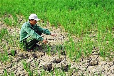 Bài mẫu viết thư UPU lần thứ 51 năm 2022 gửi một vị lãnh đạo về vấn đề khủng hoảng khí hậu