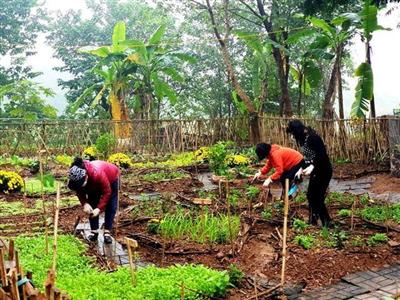 Bãi rác khu vực bờ vở sông Hồng thành sân chơi đa chức năng