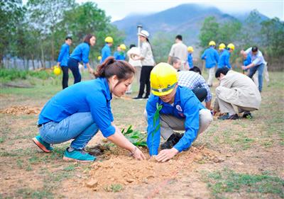 Ban hành quy định chi tiết thi hành Luật Bảo vệ môi trường về ứng phó với biến đổi khí hậu