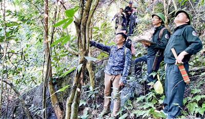 Bảo tồn đa dạng sinh học Khu dự trữ thiên nhiên Thần Sa-Phượng Hoàng
