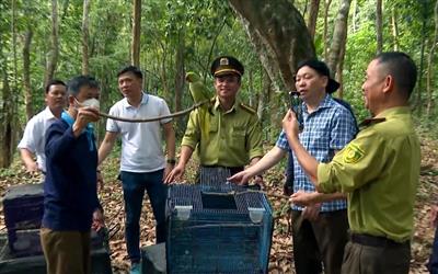 Bảo tồn đa dạng sinh học ở Vườn quốc gia Phong Nha-Kẻ Bàng