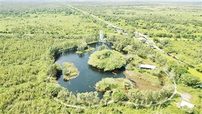 Bảo tồn động vật hoang dã ở Vườn quốc gia U Minh Thượng