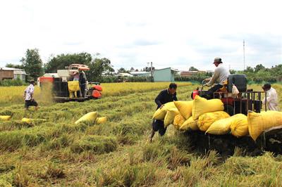 Bảo vệ lợi ích người nông dân trong luật Đất đai sửa đổi