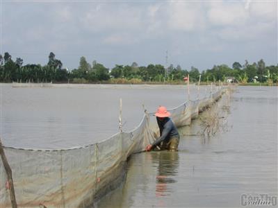 Bảo vệ nguồn tài nguyên nước ở TP Cần Thơ