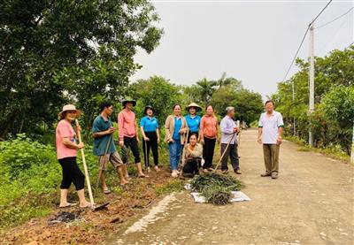 Bình Phước: Phụ nữ chung tay tạo cảnh quan xanh - sạch - đẹp