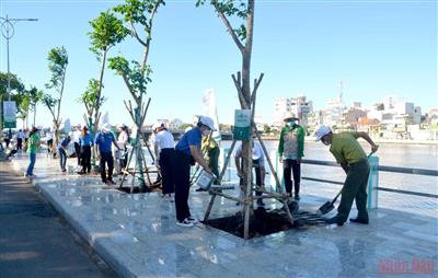 Bình Thuận phát động trồng cây xanh hưởng ứng Ngày Môi trường thế giới