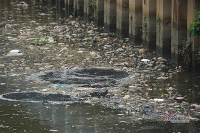 Cá chết, rác thải nổi đặc quánh kênh Nhiêu Lộc-Thị Nghè, hôi thối nồng nặc