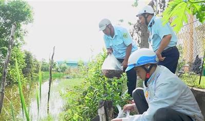 Cà Mau xử lý việc khai thác cá non