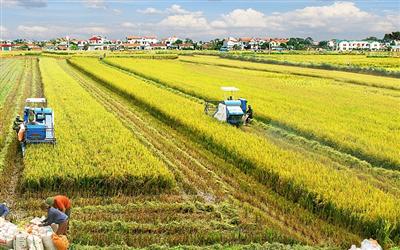 Các phương thức tích tụ, tập trung đất đai