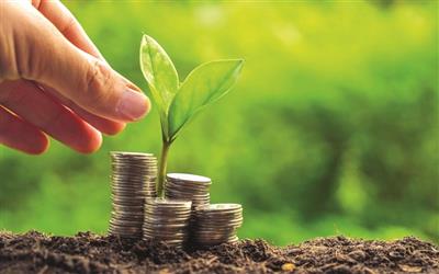 Cách nào thu hút tín dụng xanh quốc tế?