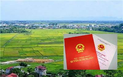 Cần lưu ý khi muốn gom đất nông nghiệp theo Luật Đất đai 2024
