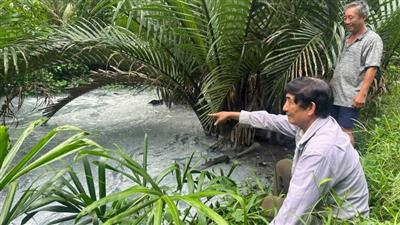 Cần sớm khắc phục tình trạng ô nhiễm môi trường từ sản xuất thạch dừa