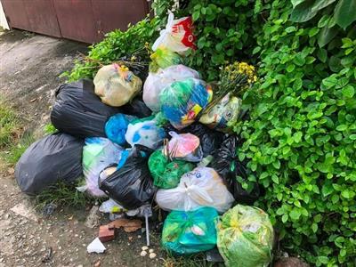 Cần Thơ: Giám sát việc thu gom, xử lý rác dịp tết
