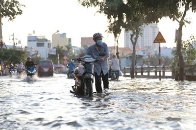 Cảnh báo triều cường gây ngập úng nhiều khu vực ven biển Nam Bộ