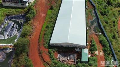 Chấn chỉnh công tác bảo vệ môi trường các trang trại heo tại Đắk Song