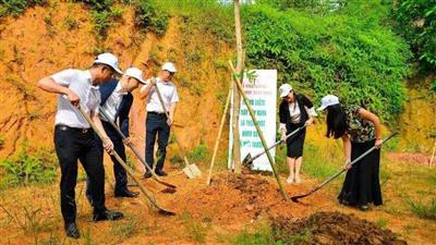 Chính thức khởi động chương trình “Xanh hóa học đường”