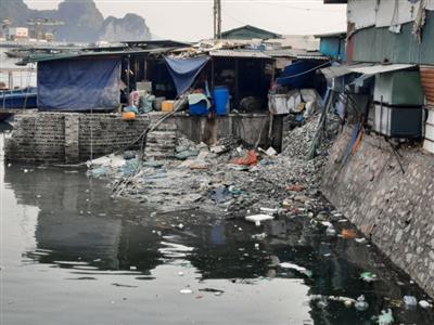 Chợ cá gây ô nhiễm, uy hiếp nơi neo, đậu tàu thuyền trên biển Quảng Ninh