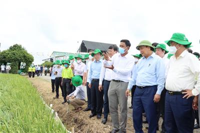 Chủ tịch nước Nguyễn Xuân Phúc làm việc tại Đồng Tháp