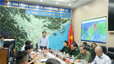Chuẩn bị phương án ứng phó với bão số 7