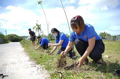 Chung tay bảo vệ và phát triển rừng Phú Quốc