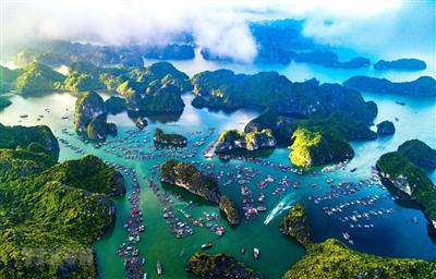 Chung tay hành động vì màu xanh của biển