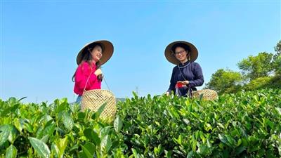 Chung tay nâng tầm sản phẩm OCOP