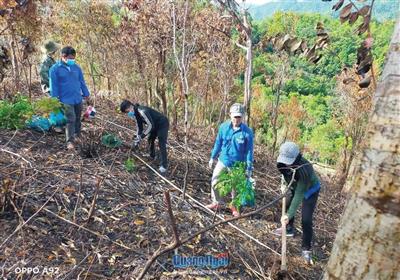 Chung tay trồng một tỷ cây xanh