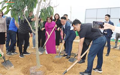 Chương trình “Trường xanh” trồng mới 3000 cây xanh tại Đại học Quốc gia Hà Nội