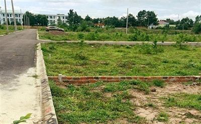 Chuyển mục đích sử dụng đất để thực hiện Dự án Cụm công nghiệp Đông Quang